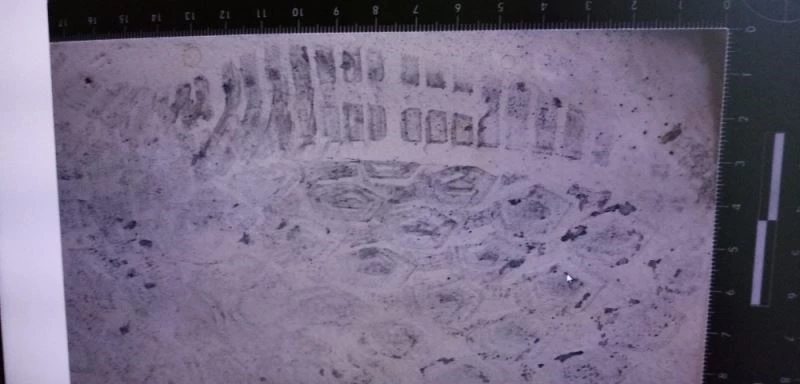 Hırsızlık zanlısını ayakkabısı ele verdi
