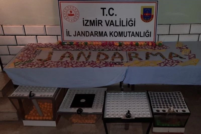 İzmir’de dernek ve depolara kumar baskını
