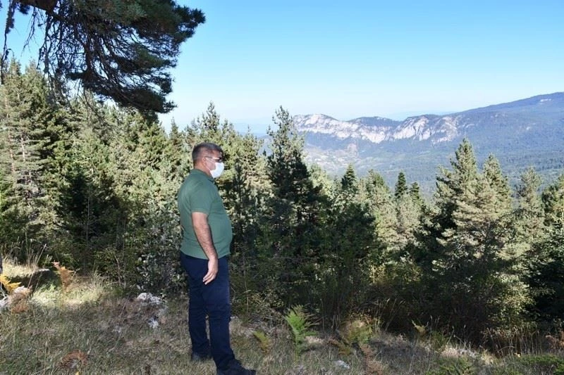 Karabük kayak turizmini çeşitlendirecek
