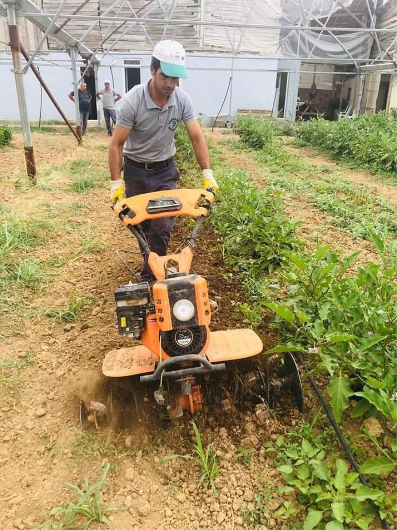Ata tohumlarından ilaçsız doğal ürünler üretiliyor
