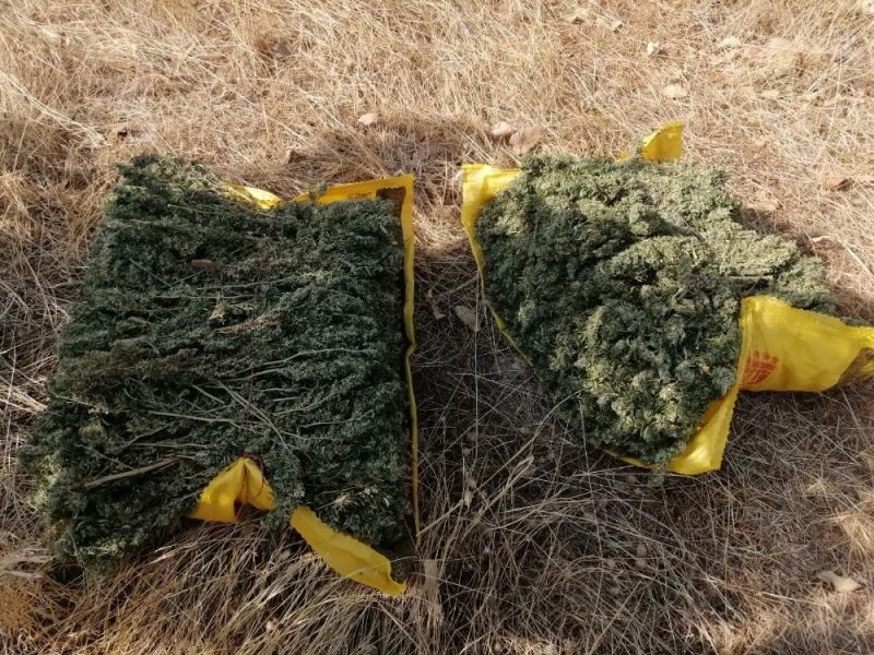 Diyarbakır’da terörün finans kaynakları kurutuluyor
