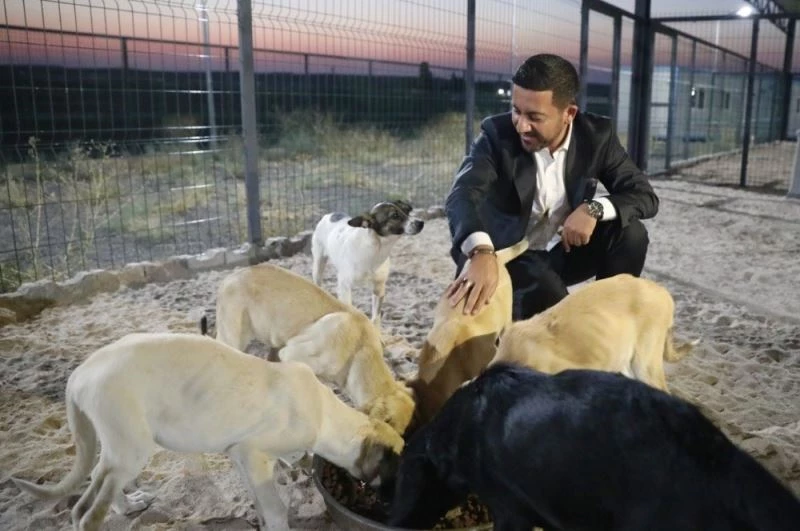 Başkan Arı, Hayvan kasabasında incelemelerde bulundu
