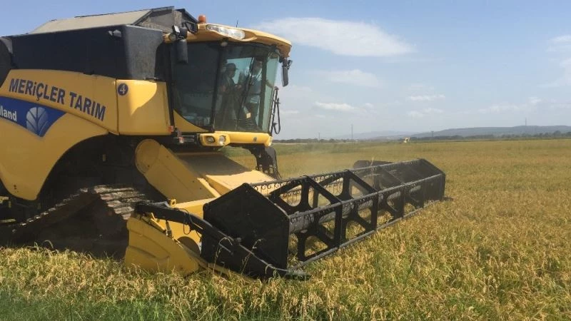 Keşan’da çeltik hasadı başladı, üretici verimden yana umutlu

