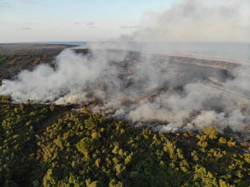 Kuş cennetinde çıkan yangını söndürme çalışmaları devam ediyor
