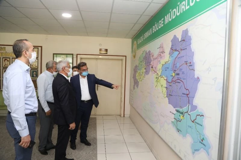 Orduzu’da küle dönen bölge yeniden yeşillenecek
