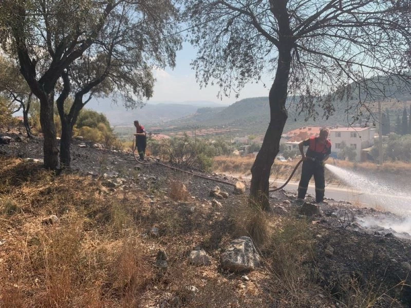 Milas’ta otluk yangını söndü, Güvercinlikte orman yangını başladı
