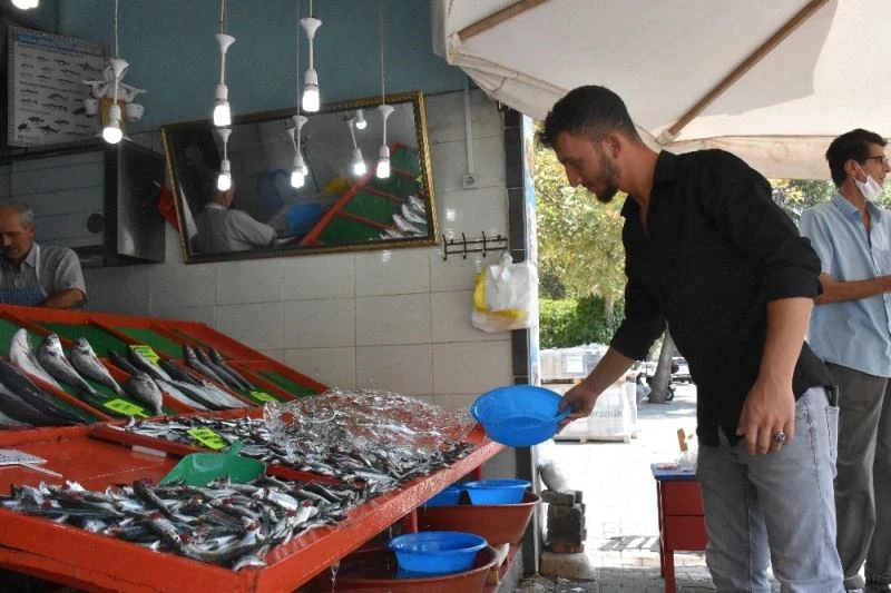 (Özel) Yasa dışı avlanma denizi kuruttu
