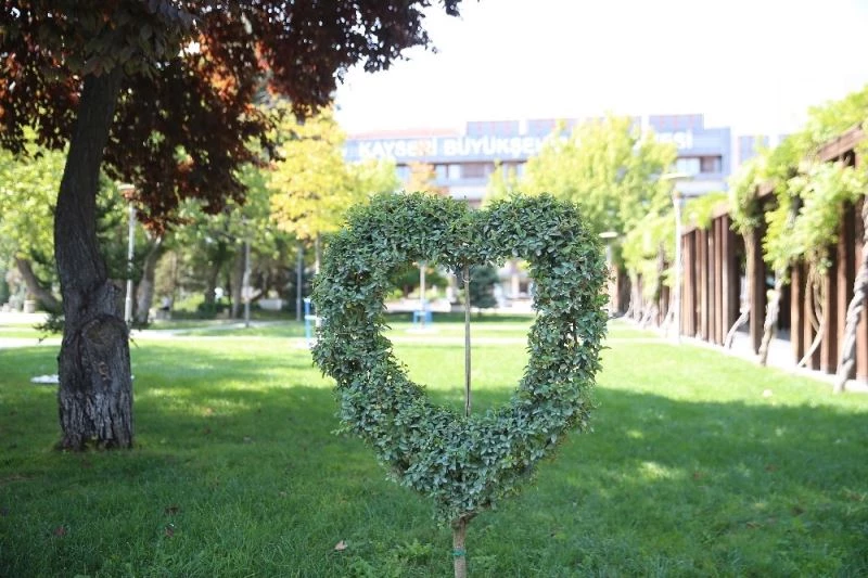 Dekoratif çiçek ve bitkiler BÜyükşehir’den
