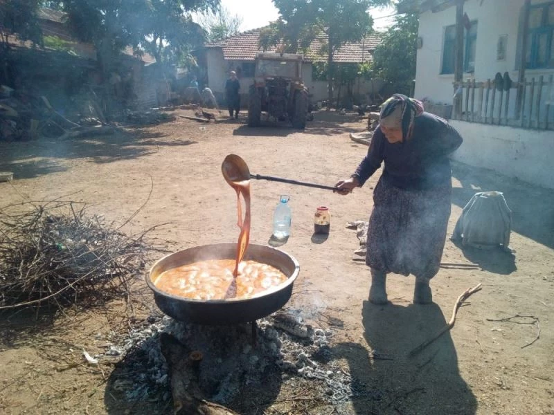 Eskişehir’de bağ bozumu
