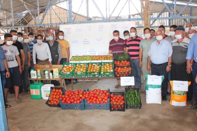 Tarlada 40 kuruşa düşen domatesin kilosu markette 2.4 liradan başlıyor
