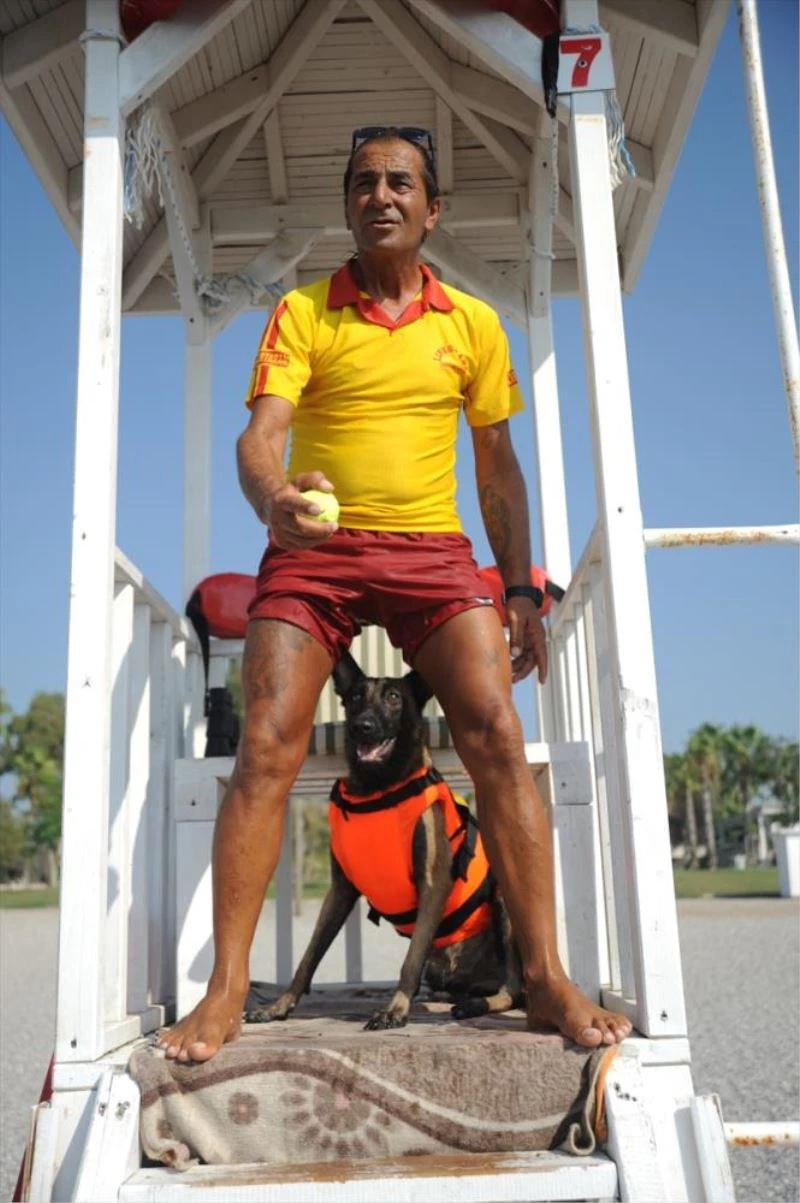 Cankurtaran köpeği 