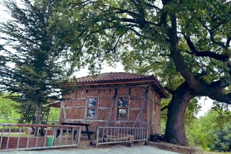 Türkiye’nin en küçük mescidi restore edilecek
