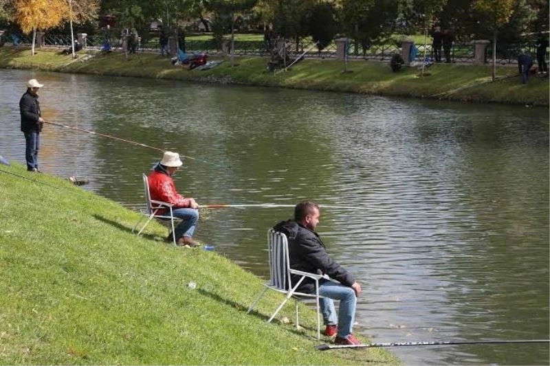 Yabancı türler balık çeşitliliğine zarar veriyor
