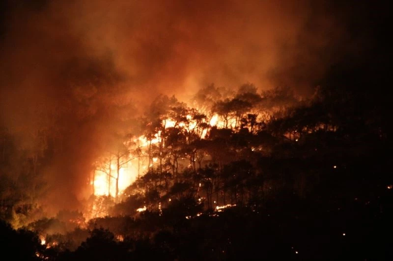 Ayvalık’ta rüzgar hızını azalttı ancak yangın hala kontrol altına alınamadı
