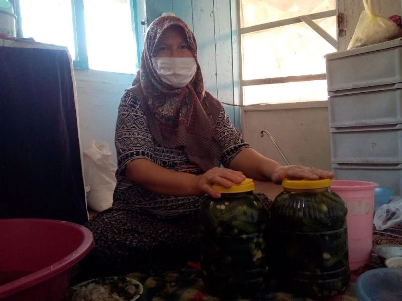 Sofraların vazgeçilmezi ’turşu’ hazırlıkları başladı
