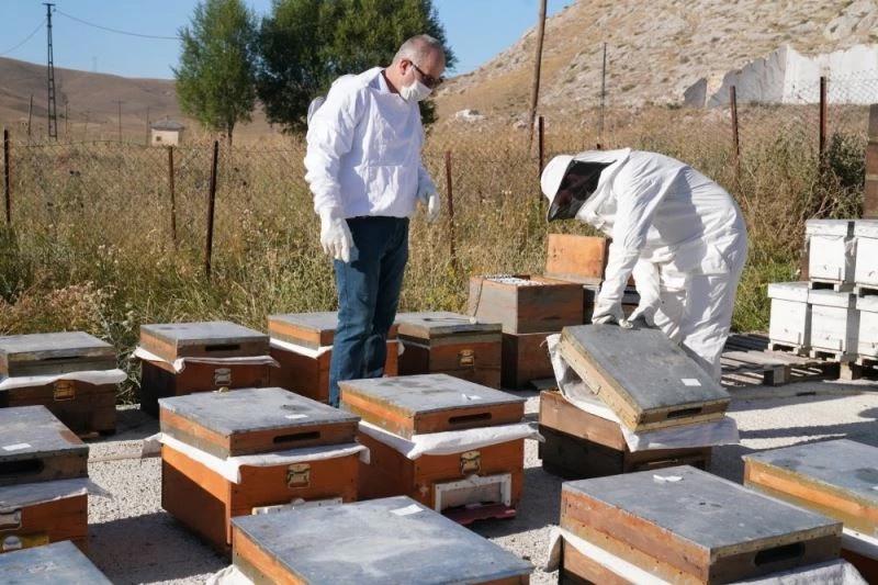 Bayburt Üniversitesinde coğrafi işaretli Bayburt Balının sağımına başlandı
