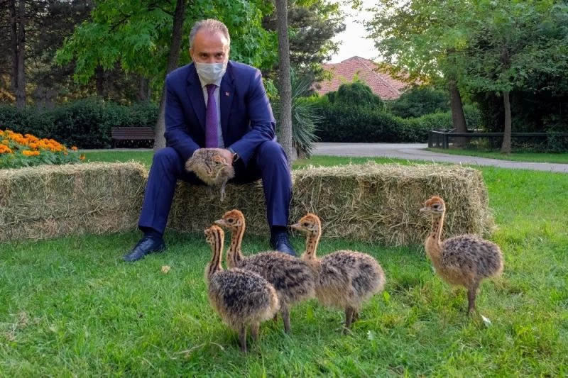 Hayvanat Bahçesi yeni üyelerle büyüyor
