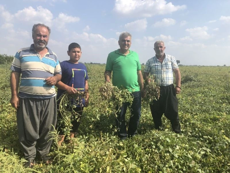 Toprağın altında da üstünde de milli servete dönüştü

