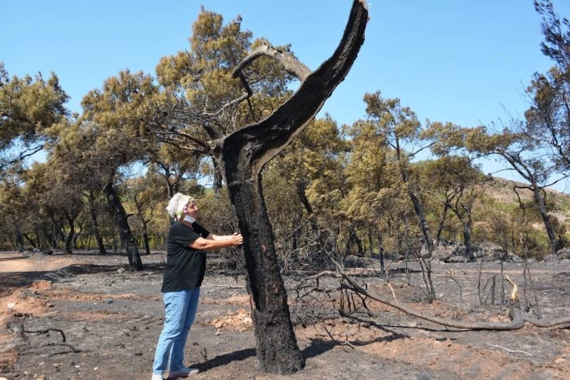 “Şefkatli eller” küle dönen ormanlık alanlara uzanacak
