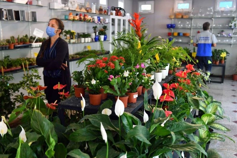 Sonbahar çiçekleri Başkentlileri bekliyor
