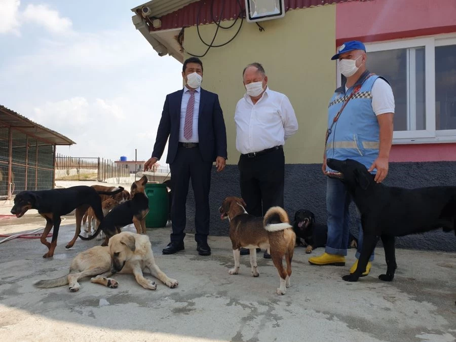 KAYMAKAM ARIK VE BAŞKAN TARHAN HAYVAN BARINAĞINDA İNCELEMELERDE BULUNDU