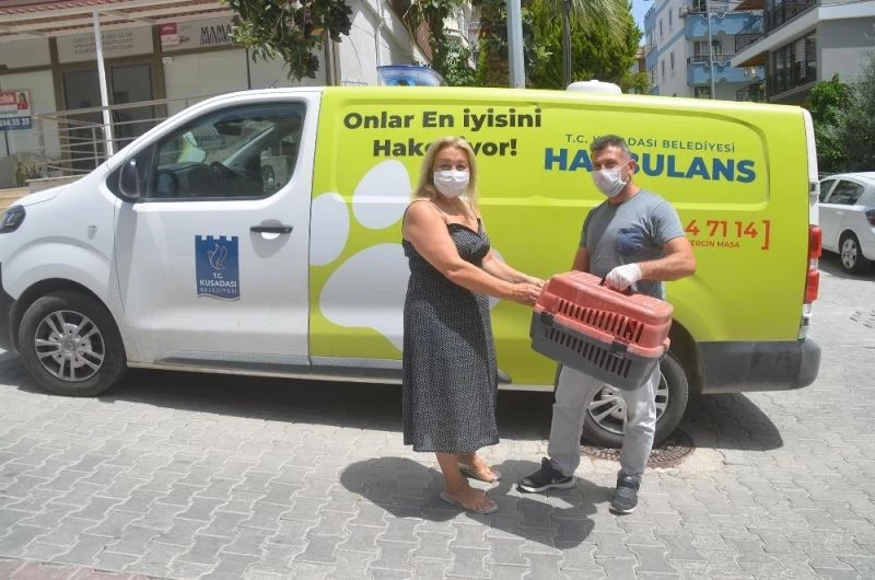 Haybulans, sokak hayvanları için 8 ayda 83 bin kilometre yol yaptı
