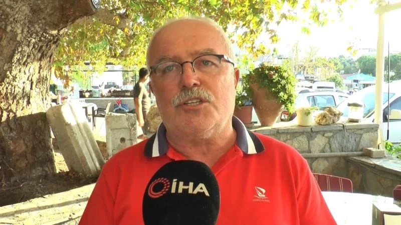 Kaza yapan köpeği veterinere götürürken ceza yedi
