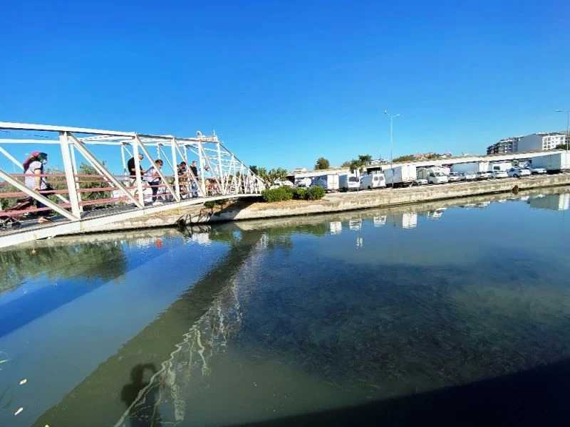 Çanakkale’den binlerce kefal sürüsü merak uyandırdı
