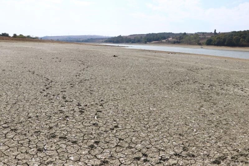Bıyıkali Göletinde su seviyesi düştü sulamaya ara verildi
