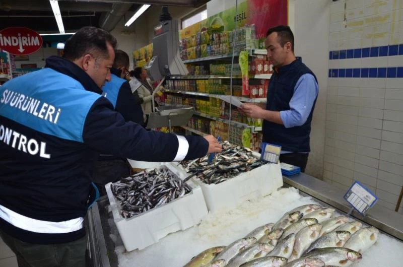 Balık sezonunun açılmasıyla birlikte denetimler başladı
