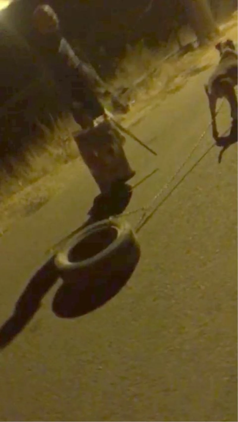 Köpeğe araç lastiği bağlatıp işkence yaptı, savunmasıyla pes dedirtti
