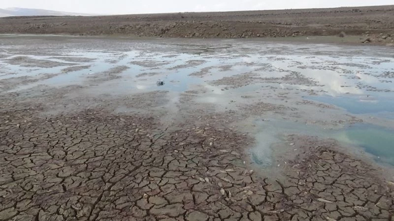 Çınar’da yürek sızlatan görüntü
