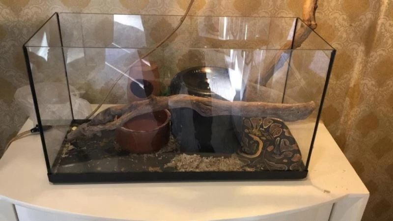 Antalya’da siyanürle intihar eden adamın tefecilere borç senedi bulundu
