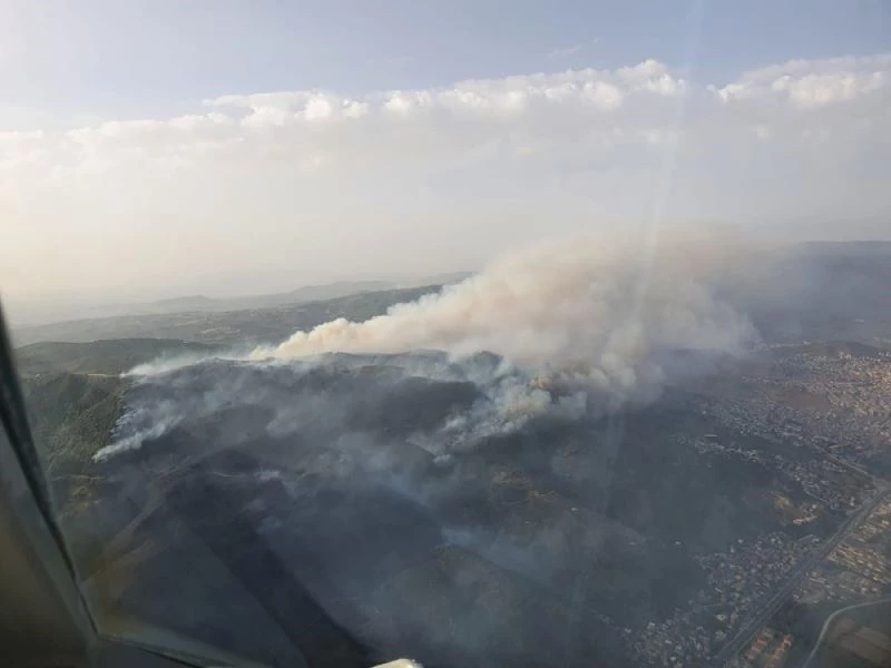 Söke’deki yangın Dilek Yarımadası Milli Parkı’nı tehdit ediyor
