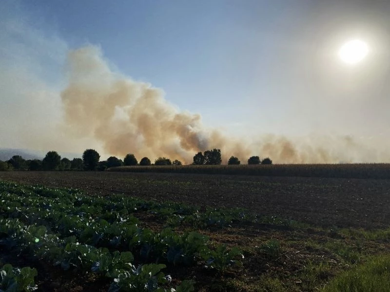 Sakarya’da anız yangını dumanları şehri kapladı
