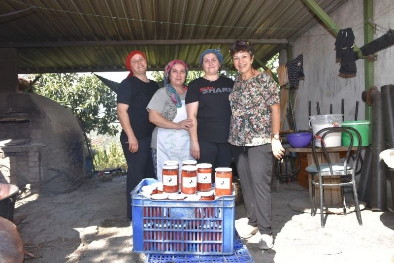 Ata tohumlarından yetiştirilen domatesler ihtiyaç sahiplerine ulaştı
