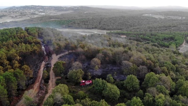 Pendik’te yangının tahribatı gün ağarınca ortaya çıktı
