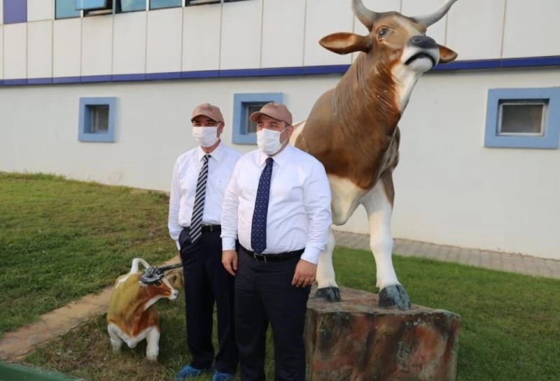 Türkiye’nin 3 aşı projesi insan denemeleri aşamasında
