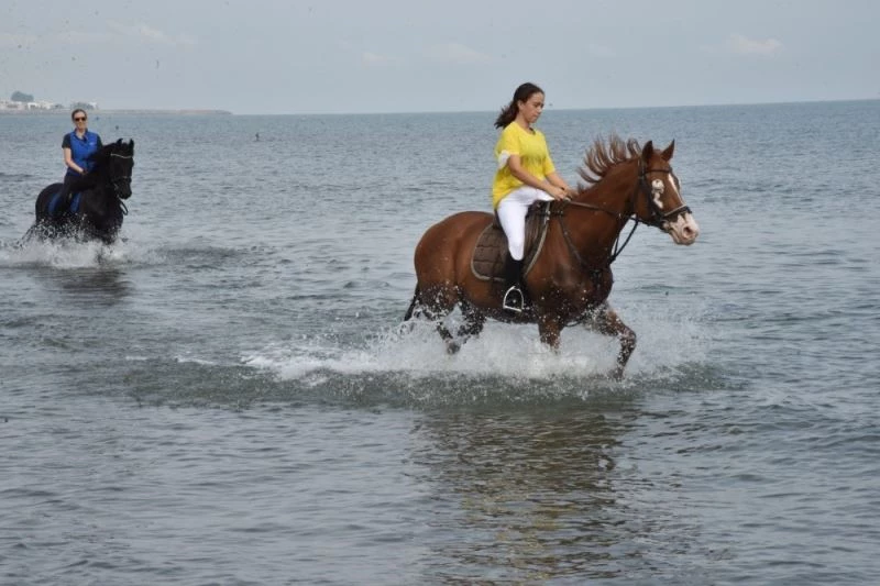 Atlara denizde özel idman
