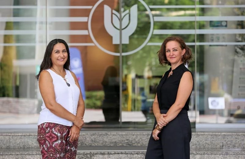 Dizilerdeki kına gecesi sahneleri araştırma konusu oldu
