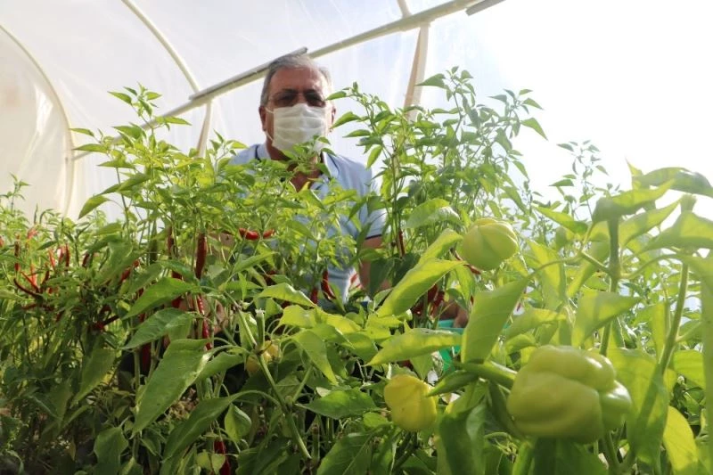 40 yıl siyaset yaptı, huzuru toprakta buldu
