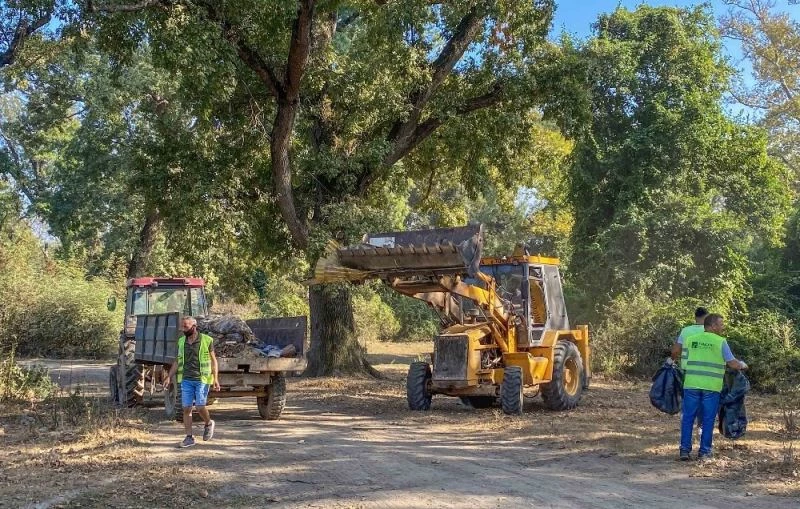 Karacabey longozu tertemiz oldu
