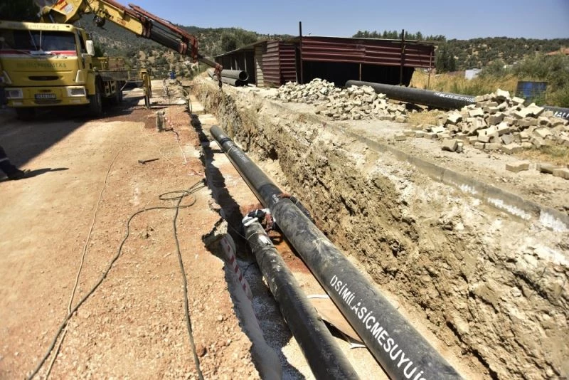 Milas memba kalitesinde suya kavuşuyor
