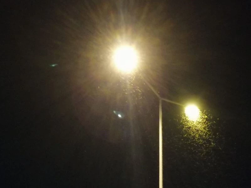 Bingöl’de ilçeyi sinekler bastı, esnaf iş yerini kapattı
