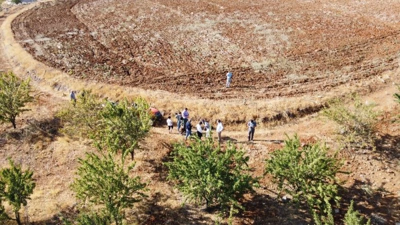 Koyun otlattıkları dağları badem bahçesine çevirdiler
