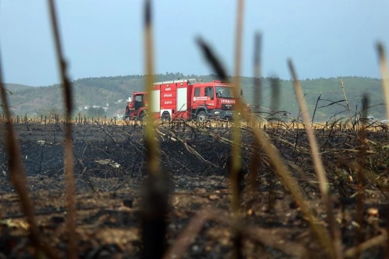 Malları için canları hiçe sayarak yangına sebep oluyorlar
