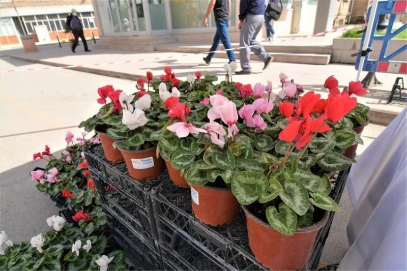 Sandıklı Belediyesinin mevsimlik çiçeklerine büyük ilgi
