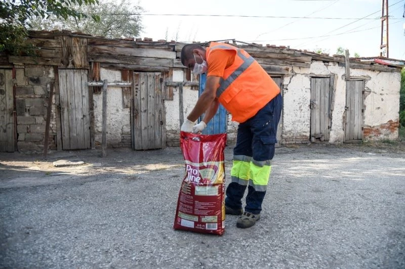 Başkan Ayık bir günde iki temel attı
