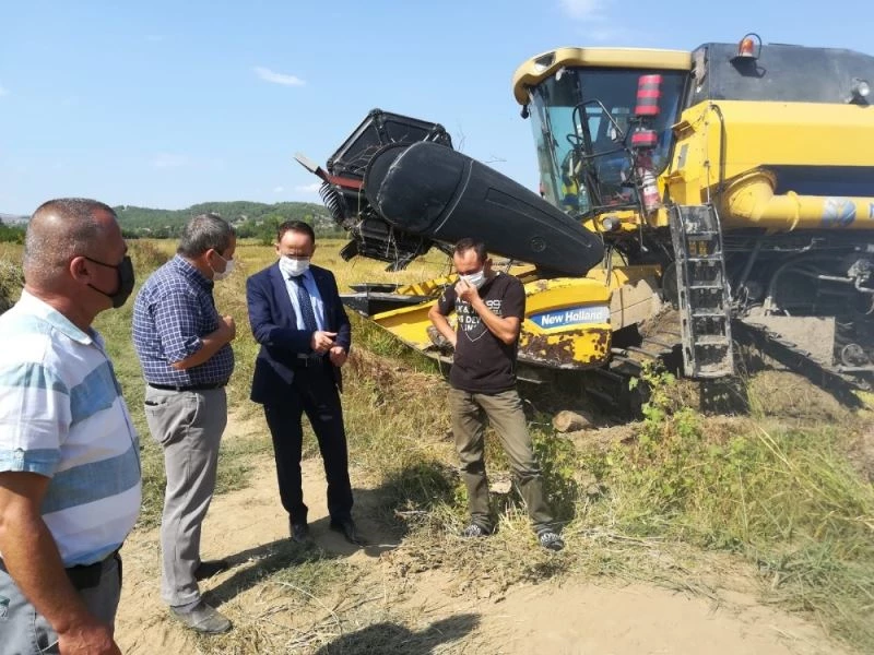 Saraydüzü’nde çeltik hasadı devam ediyor

