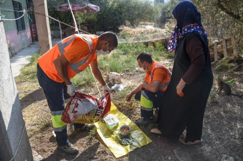 Altındağ Belediyesi, minik kedi yavrularına sahip çıktı
